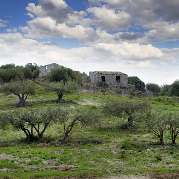 Ein Blick auf das Landgut Cavaliere Novella mit uralten Gebäuden und Olivenbäumen.